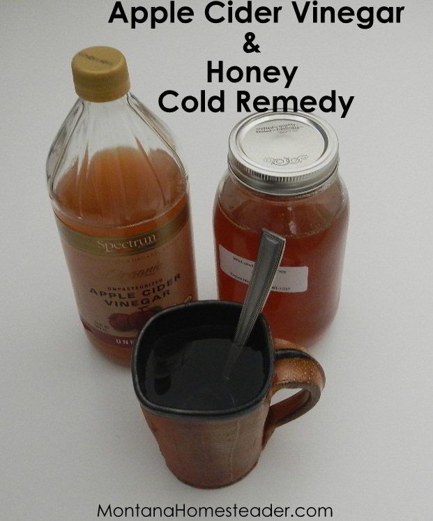 apple cider vinegar and honey natural cold buster remedy cure for common cold