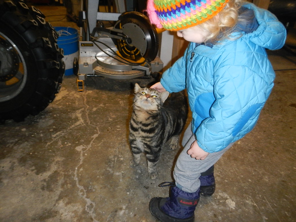 acclimating an outdoor barn cat to a new house acclimating an outdoor barn cat to a new house property