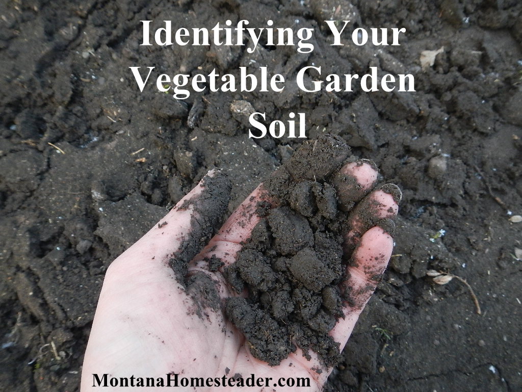Identifying Your Vegetable Garden Soil