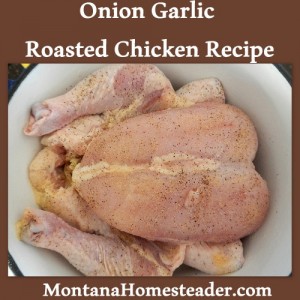Onion garlic roasted chicken recipe- so delicious! Onion garlic roasted chicken recipe- so delicious!