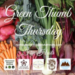 Green Thumb Thursday weekly blog hop link up