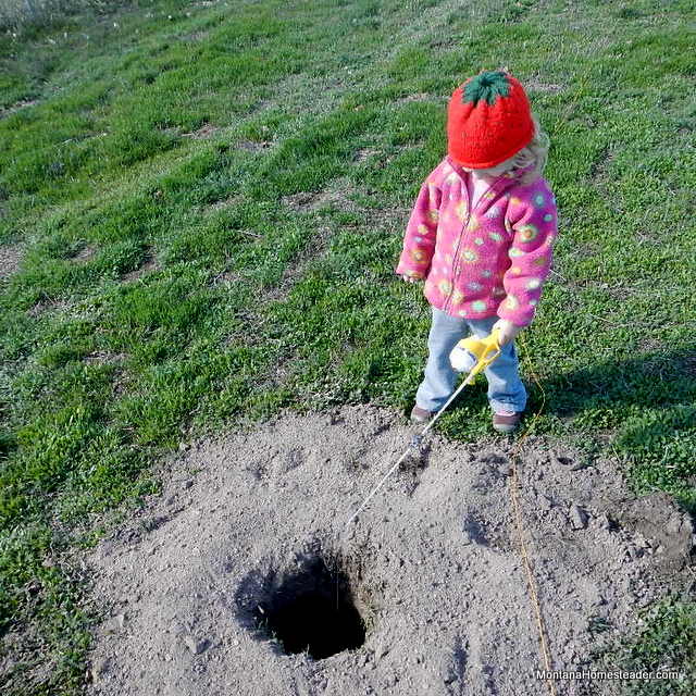learning how to garden with a toddler