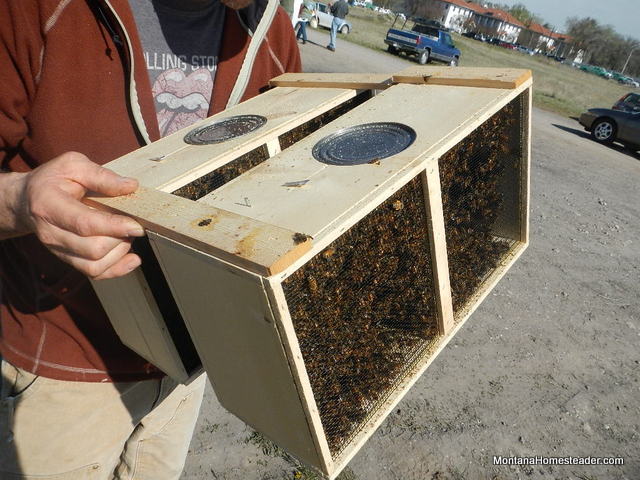 Bee Day at Fort Missoula 2014