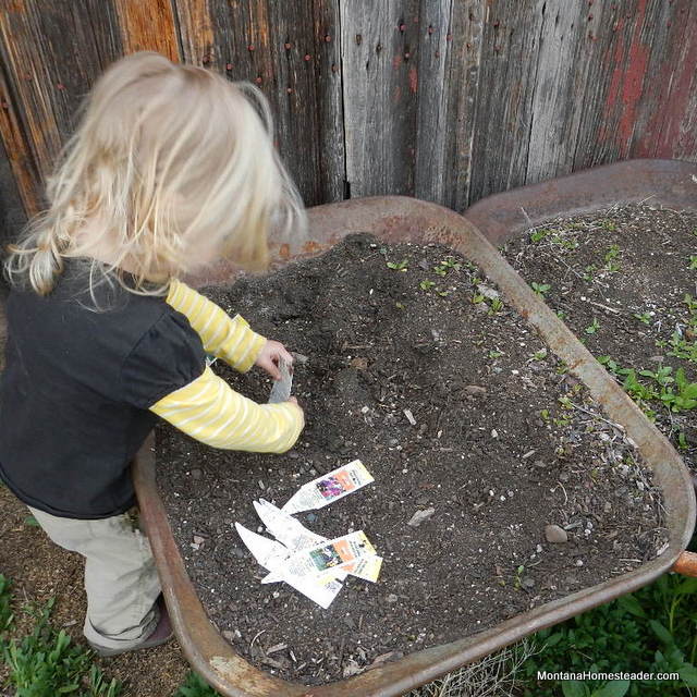 tips on how to garden with a toddler