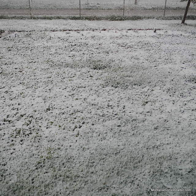 late season snow in May in Montana