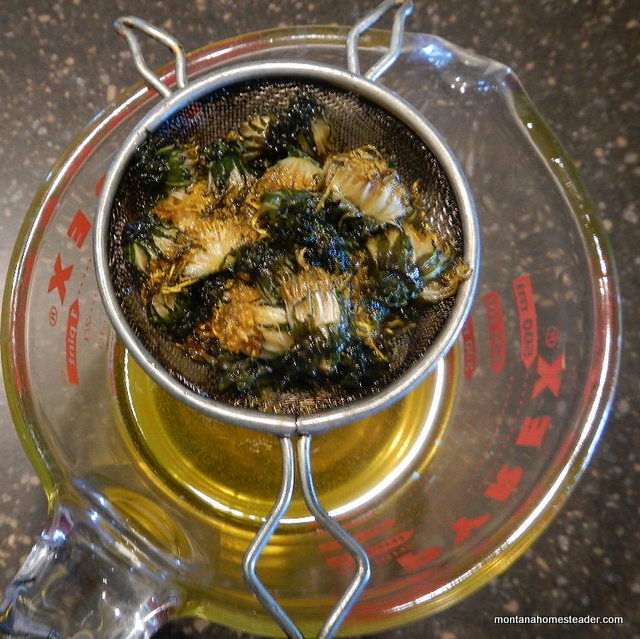 how to make dandelion infused oil for sore muscles and dry skin and making dandelion salve