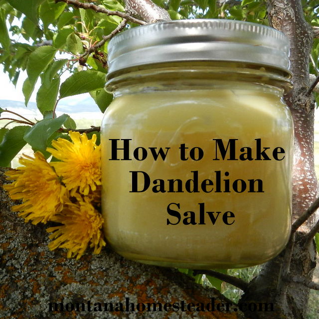 How to make homemade dandelion salve