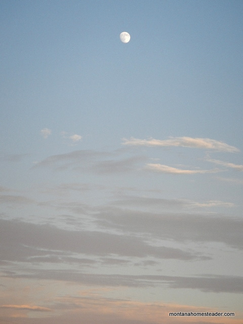 summer moon in the evening sky in montana