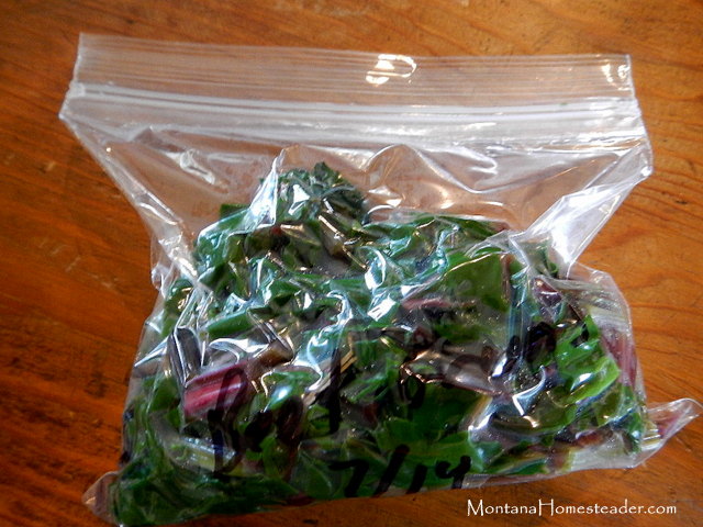 How to use a drinking straw to suck the air out of a plastic bag for a DIY vacuum sealer package