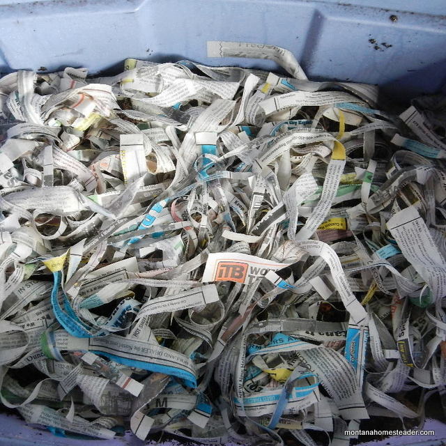 How to use damp newspaper in a worm composting vermicomposting bin to prevent fruit flies