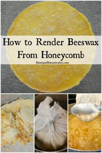 How to render beeswax from honeycomb with picture of honeycomb being placed inside cheesecloth then placed in a pot of hot water to render into beeswax