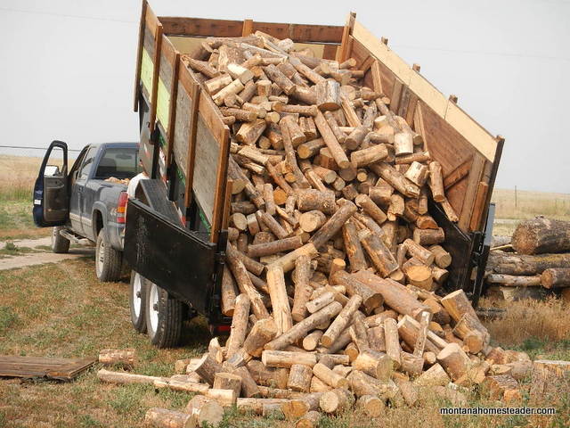 How to find firewood for cheap or free to save money heating your house with wood Montana Homesteader
