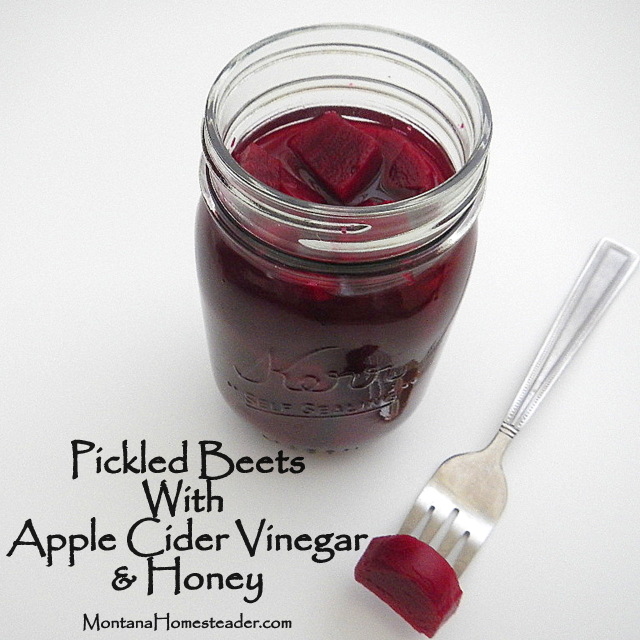 How to make and can pickled beets with apple cider honey and vinegar Montana Homesteader