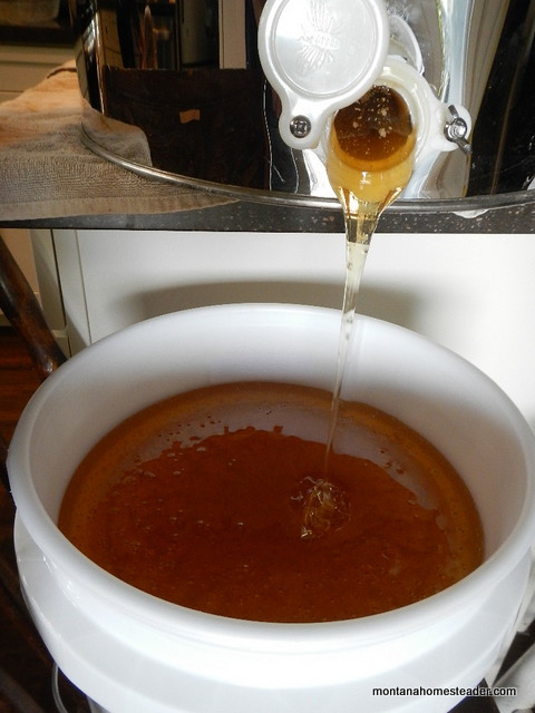 Opening the honey gate to filter harvested honey into a 5 gallon bucket Montana Homesteader