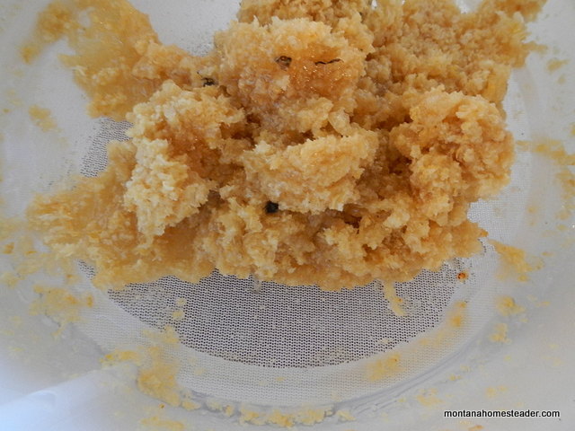 Left over beeswax after harvest honey from bee hives Montana Homesteader