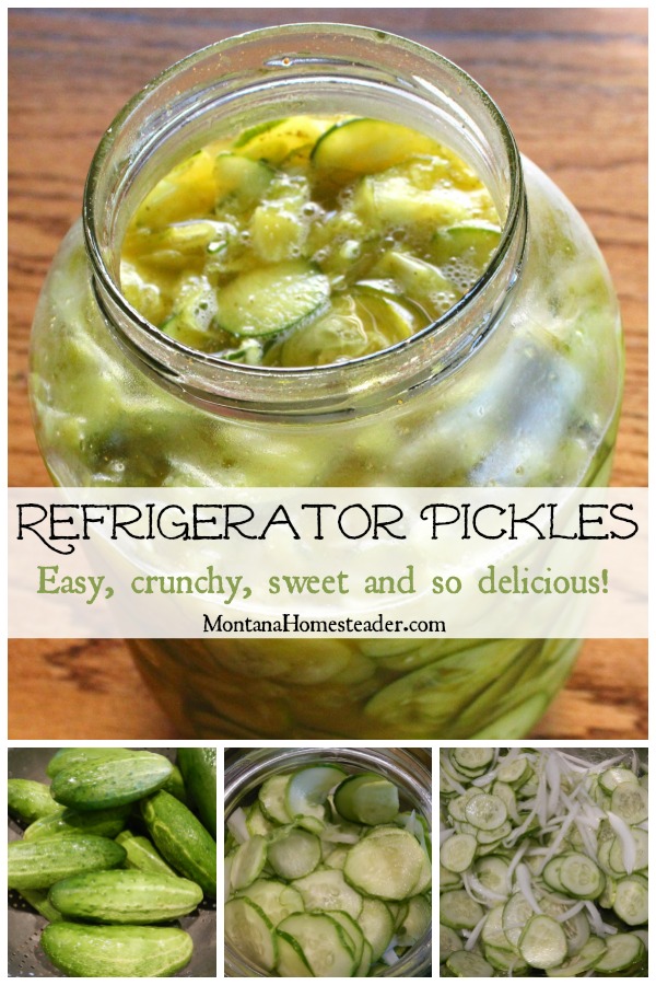 Gallon size glass jar full of homemade sweet and crunchy refrigerator pickles plus pictures of whole cucumbers and sliced cucumbers and onions prepped to make pickles