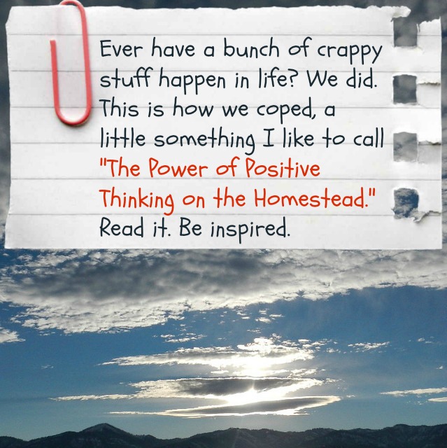 The power of positive thinking on the homestead and how we coped with a bunch of crappy stuff happening in life | Montana Homesteader