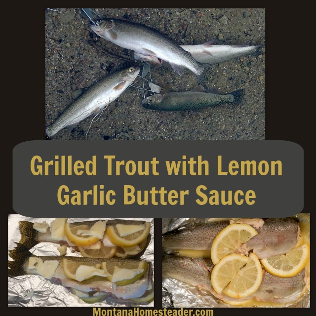 Grilled Trout with Lemon Garlic Butter Sauce Recipe. Simple, easy, delicious! | Montana Homesteader