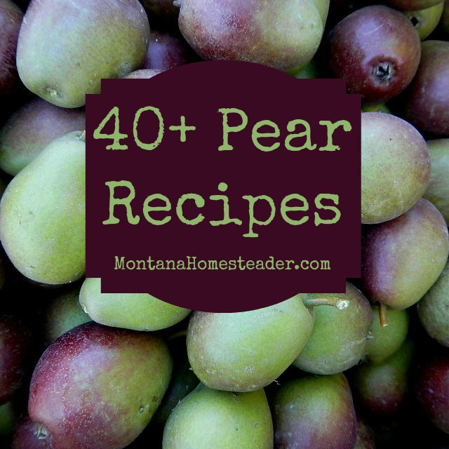 40+ Pear recipes for salads, desserts, main dishes, canning and preserving and more! | Montana Homesteader