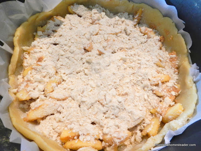 homemade apple pie baked in a dutch oven