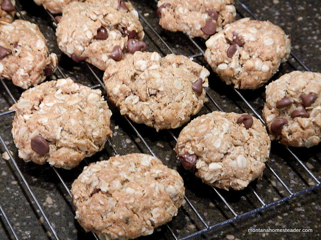 monster cookies recipe makes a big batch great for holiday gift giving or Christmas parties | Montana Homesteader