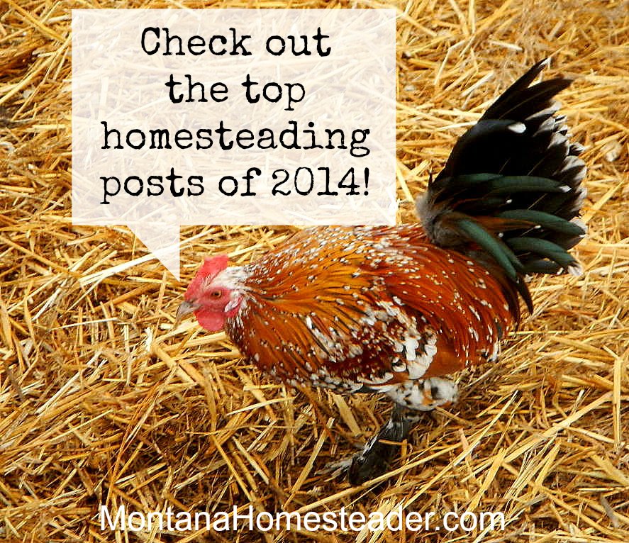 Top homesteading posts of 2014 Montana Homesteader
