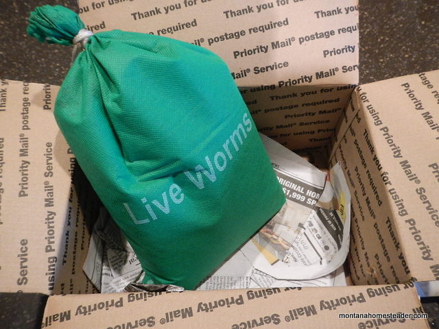 how live composting worms are shipped in the mail