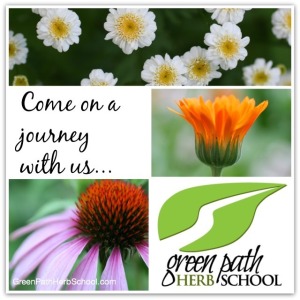 Green Path Herb School Missoula Montana Learn Herbalism | Montana Homesteader