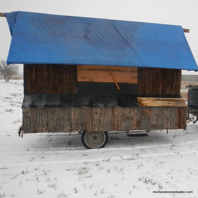 salvaged wood chicken coop made from a dismantled old cabin | Montana Homesteader
