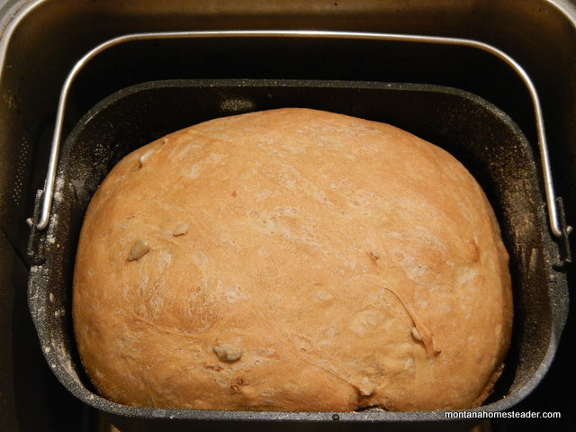 Is baking homemade bread in a bread machine worth the investment? | Montana Homesteader
