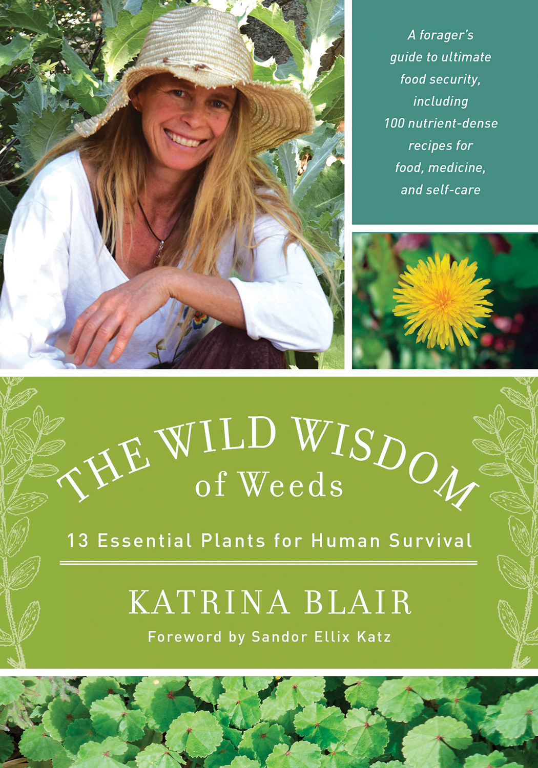 The Wild Wisdom of Weeds- How to forage for 13 common weeds and over 100 recipes for food, medicine and self care | Montana Homesteader
