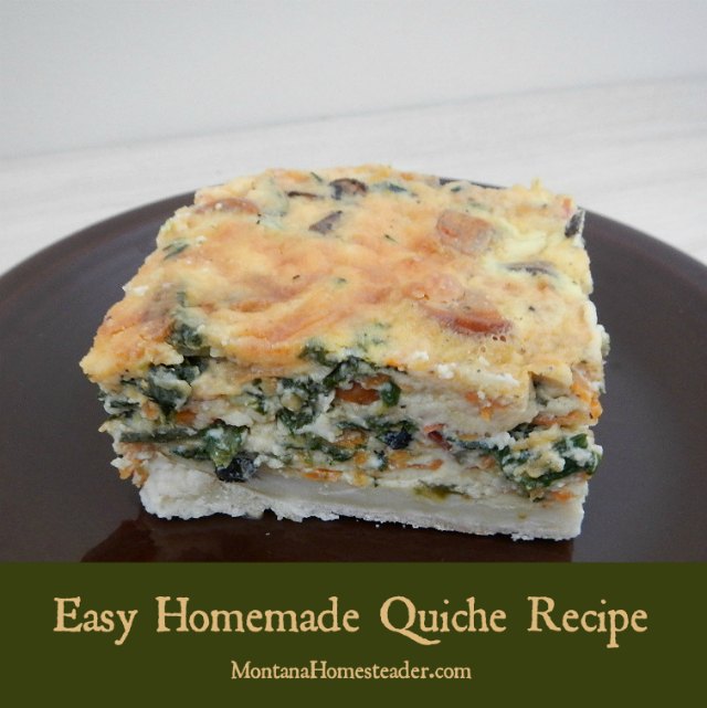 Quiche recipe: easy, homemade and delicious quiche! | Montana Homesteader