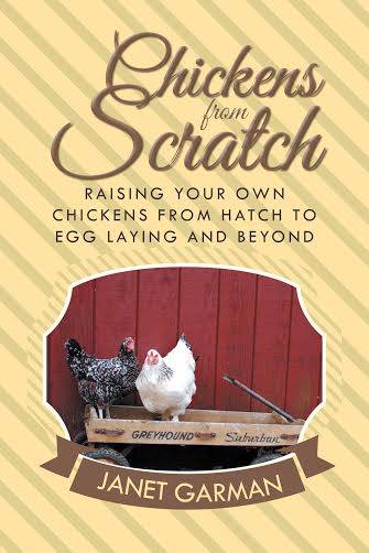 chickens from scratch book a must have guide for raising baby chicks | Montana Homesteader
