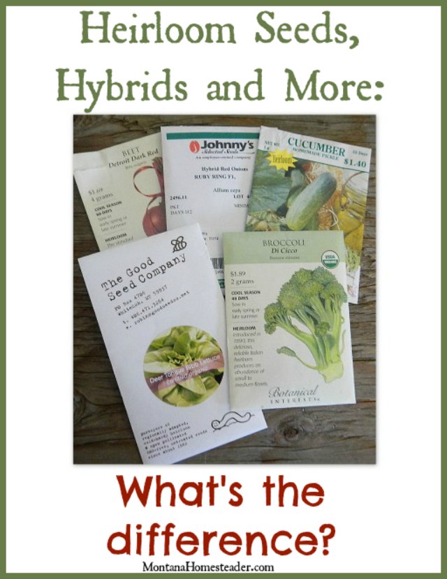 Heirloom seeds, hybrid seeds and more | What's the difference? | Montana Homesteader
