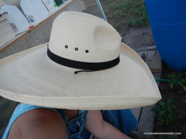 saving money by buying a second hand sun hat | Montana Homesteader