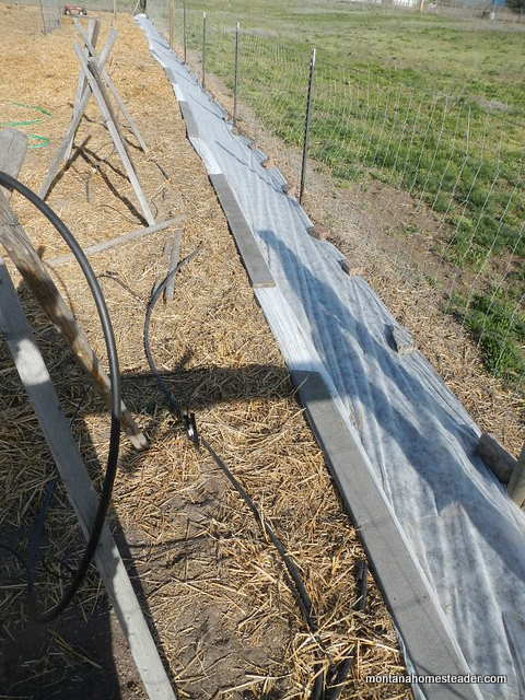 6 ways you can use row cover in a garden to help you grow more food year round! | Montana Homesteader