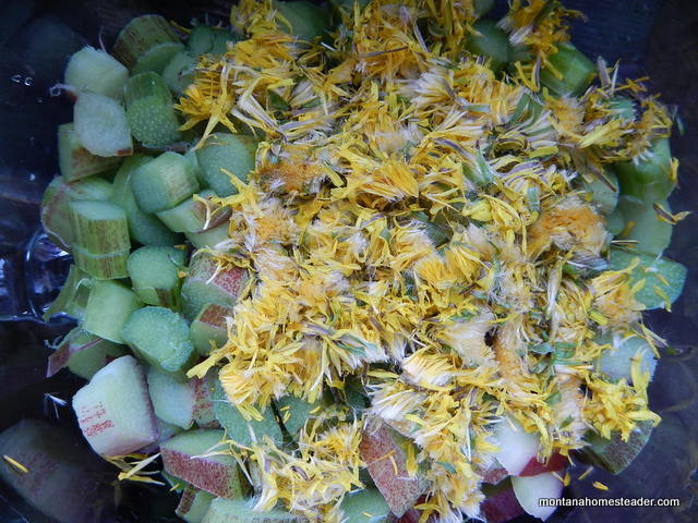 Chopped rhubarb and dandelion flowers for rhubarb dandelion pie recipe how to make rhubarb dandelion pie with a custard like filling and crumb topping