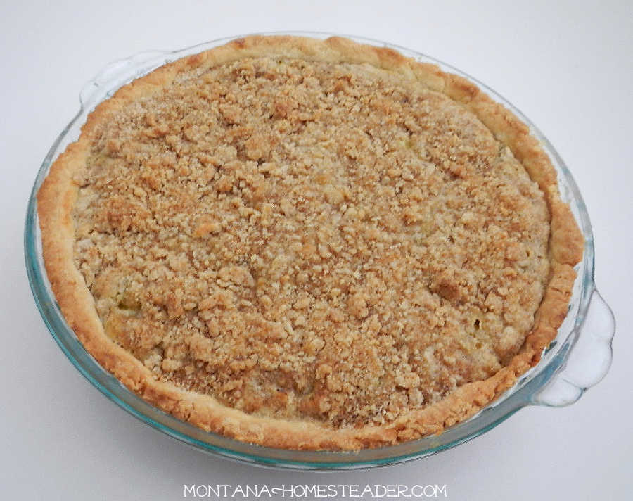 How to make rhubarb dandelion pie recipe baked pie in glass baking dish with a crumb topping baked to a golden perfection