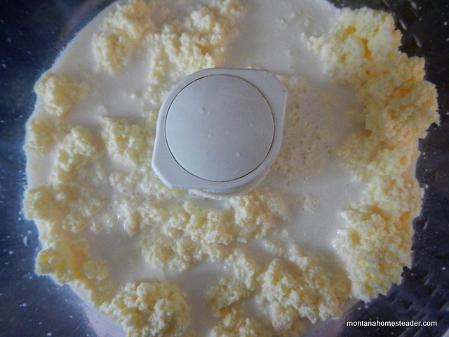 How to make homemade butter and how the butter fat separates from the buttermilk | Montana Homesteader