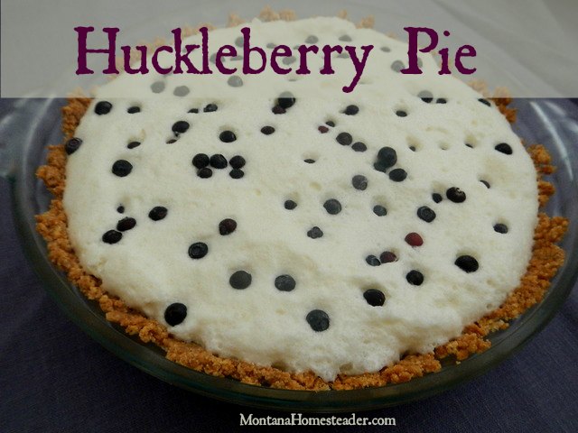 Huckleberry pie recipe | Montana Homesteader