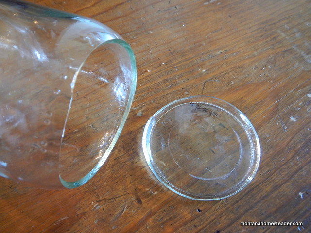 Inspecting the body of a canning jar for cracks to prevent the bottom from blowing out in the water bath canner | Montana Homesteader