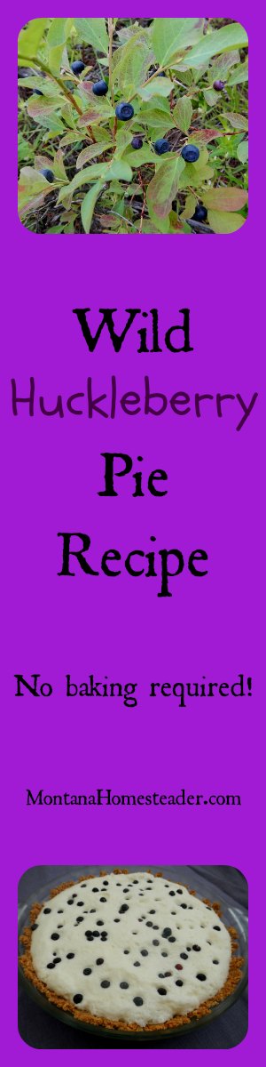 Wild huckleberry pie recipe | Montana Homesteader