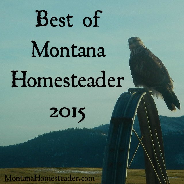 Best of Montana Homesteader blog posts 2015
