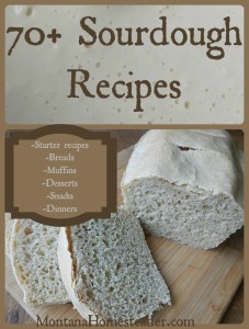 70+ Sourdough Recipes | Montana Homesteader