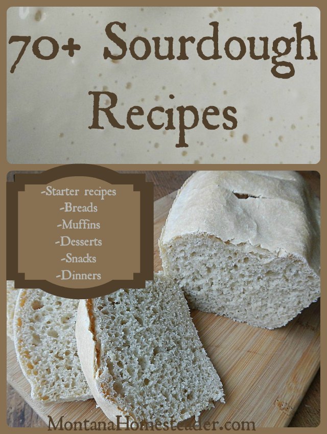 70+ Sourdough Recipes | Montana Homesteader