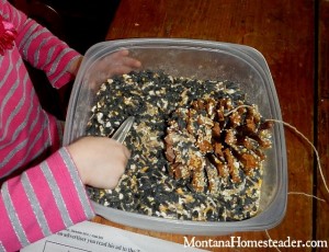 DIY project to make a peanut butter pine cone bird feeder | Montana Homesteader