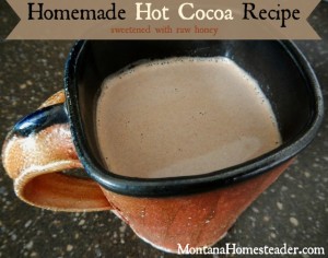 Homemade hot cocoa recipe sweetened with raw honey | Montana Homesteader