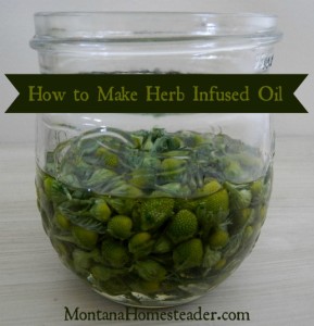 How to make a homemade herb infused oil | Montana Homesteader