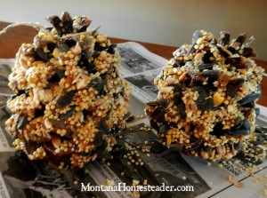 How to make a pine cone bird feeder | Montana Homesteader