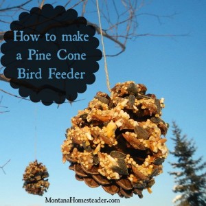 How to make an all natural Pine Cone Bird Feeder the perfect pine cone craft for a cold winter day |Montana Homesteader